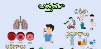 ఆస్తమా ఎన్ని రకాలు.. వ్యాధి కారణాలు, లక్షణాలు, రోగ నిర్థారణ, చికిత్స Asthma Causes Symptoms
