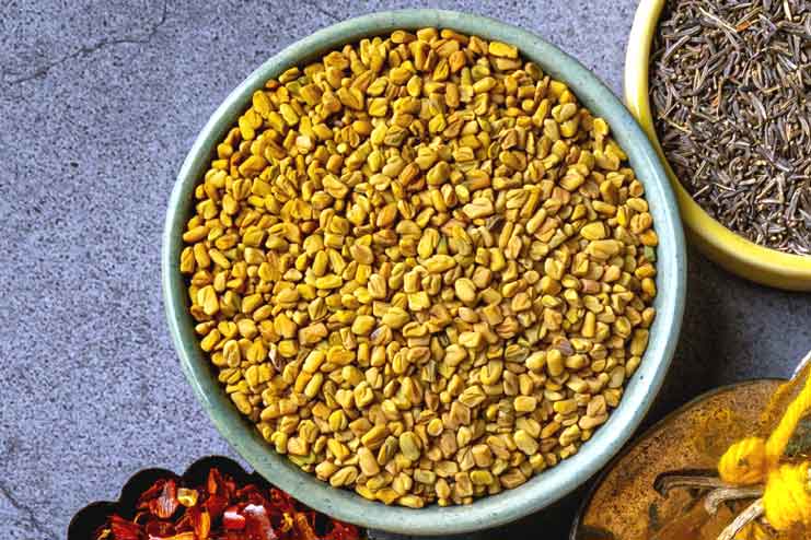 Fenugreek