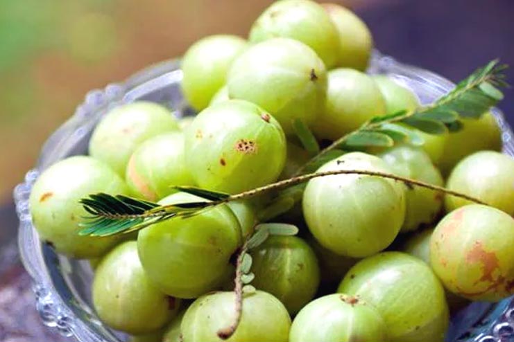 Indian Gooseberry