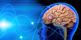 వృద్దాప్యంలో మీ మెదడు మందగిస్తోందా.. నిజమేనా? Brain Oldage