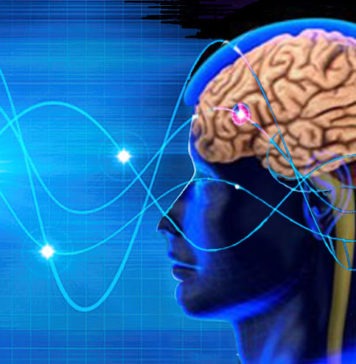 వృద్దాప్యంలో మీ మెదడు మందగిస్తోందా.. నిజమేనా? Brain Oldage