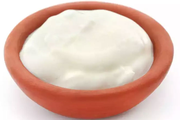 yogurt vs curd 1