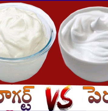 యోగర్ట్ అంటే పెరుగేనా? దేనిలో అధిక అరోగ్య ప్రయోజనాలు ఉన్నాయి? yogurt vs curd