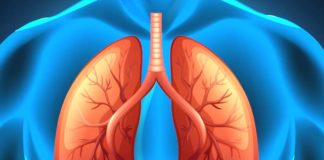 మీ ఊపిరితిత్తులను సహజంగా శుభ్రం చేసుకోండిలా.. Lung Cleansing Food