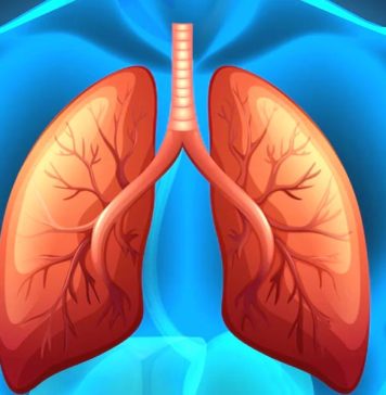 మీ ఊపిరితిత్తులను సహజంగా శుభ్రం చేసుకోండిలా.. Lung Cleansing Food