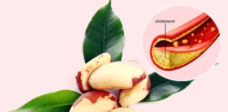 నెలకు ఈ నాలుగు నట్స్: చెడు కోలెస్ట్రాల్ కు చెక్ Brazil Nuts Keeps Bad Cholesterol Away