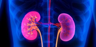 కిడ్నీ ఫెయిల్యూర్: సంకేతాలు, కారకాలు, రకాలు, లక్షణాలు Kidney Failure