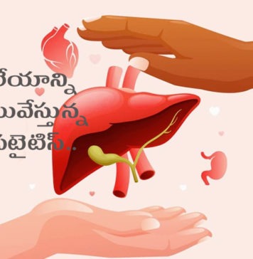 హెపటైటిస్ అంటే ఏమిటి? రకాలు, లక్షణాలు, కారణాలు