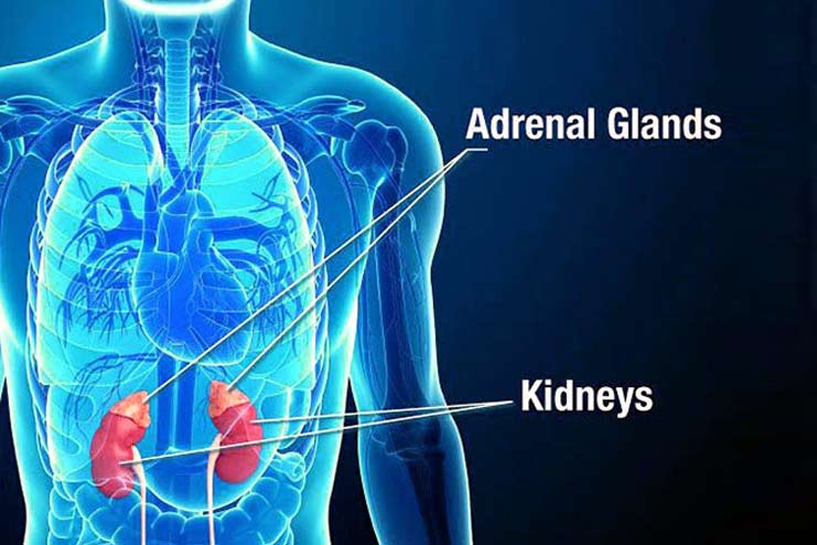 Adrenal gland disorder