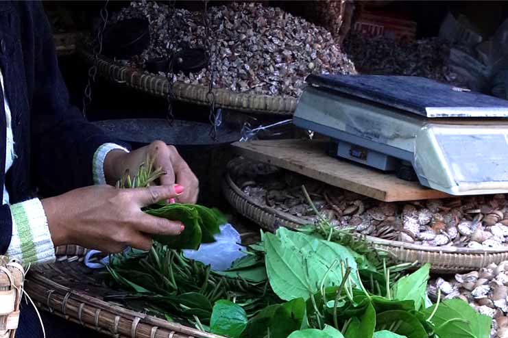 Betel leaf for digestion