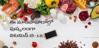 విటమిన్ బి-12 పుష్కలంగా లభించే ఆహారాలివే.! - Vitamin B12-rich foods that can help you meet your daily needs in Telugu Vitamin B12 foods
