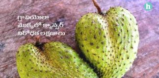 క్యాన్సర్ రోగుల పాలిట ఈ ‘సీతాఫలం’ అద్భుత ఔషధం - Graviola: A Natural Solution for Cancer and Ulcer Treatment in Telugu Graviola for cancer and ulcer