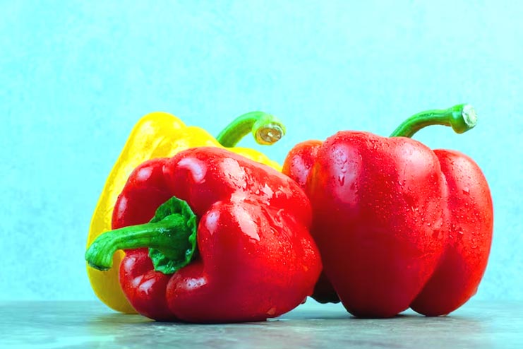 Red Capsicum