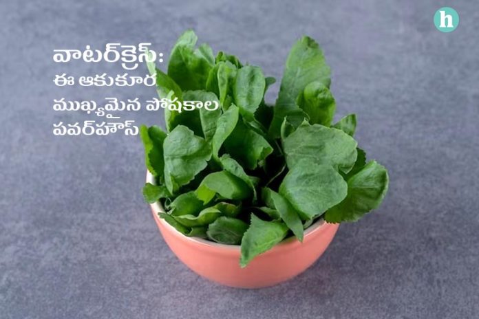 Watercress Health Benefits