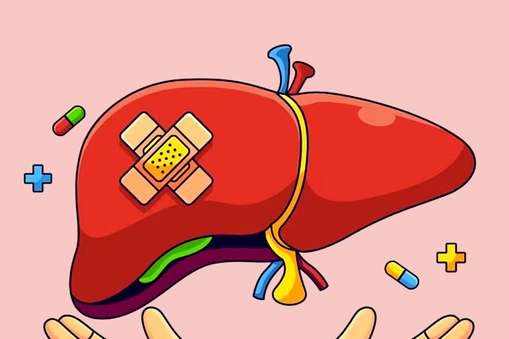 Antibiotic induced liver injury