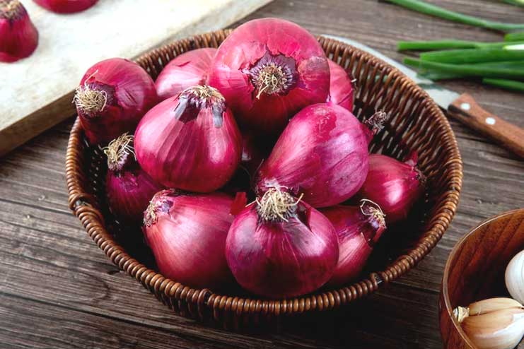 Health Benefits of Onions