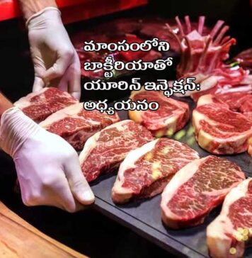 ఐదు లక్షల యూరిన్ ఇన్ఫెక్షన్లకు ఆ బ్యాక్టీరియానే కారణం: స్టడీ Meat borne Bacteria Cases