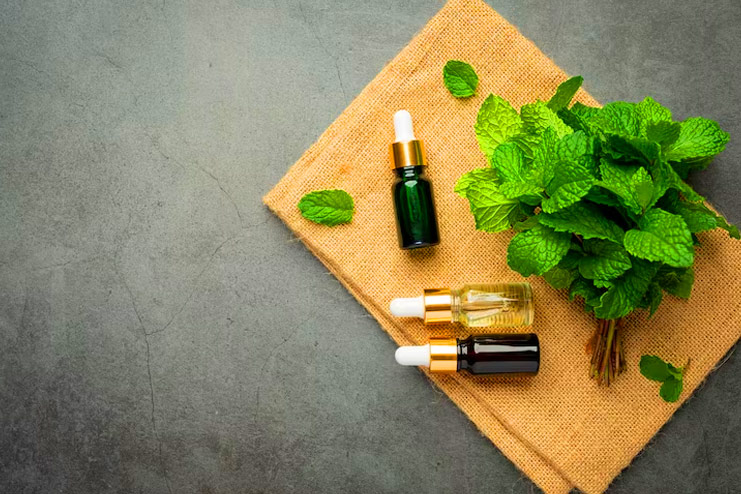 Non-toxic Solutions to Keep Mice Away Peppermint Oil