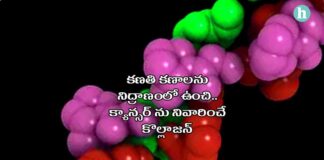 క్యాన్సర్ కణాలను సెకండరీ స్టేజికి చేరకుండా చేసే కొల్లాజన్: అధ్యయనం - Crucial Role of Collagen in Maintaining Dormancy of Cancer Cells in Telugu Role of Collagen