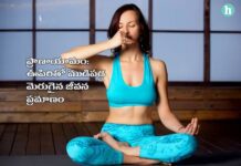 ప్రాణాయామం ఎన్ని రకాలు.? వాటి అరోగ్య, మానసిక ప్రయోజనాలు Breathing techniques Pranayama