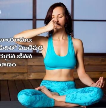 ప్రాణాయామం ఎన్ని రకాలు.? వాటి అరోగ్య, మానసిక ప్రయోజనాలు Breathing techniques Pranayama
