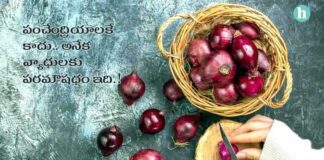 ఉల్లి చేసే అద్భుత ప్రయోజనాలు మీకు ఎవరూ చెప్పివుండరు.. తెలిస్తే షాక్.! - The Amazing Health Benefits of Onions: Boosting Immunity, Fighting Disease, and More in Telugu The Amazing health benefits of onions