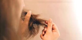 జుట్టు రాలుతుందా.? సన్నబడుతోందా.? కారణాలు తెలుసా.? - Role of Protein in Boosting Growth and Halting Hair Fall in Telugu Hair Growth