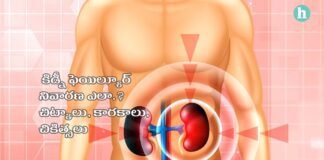 కిడ్నీలను పరిరక్షించుకోవడం ఎలా.? ఎలాంటి ఆహారాలు తినకూడదో తెలుసా.? - Kidney Failure: Causes, Symptoms & Treatment in Telugu Kidney failure causes