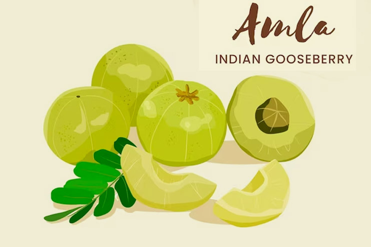 Amla for scalp health