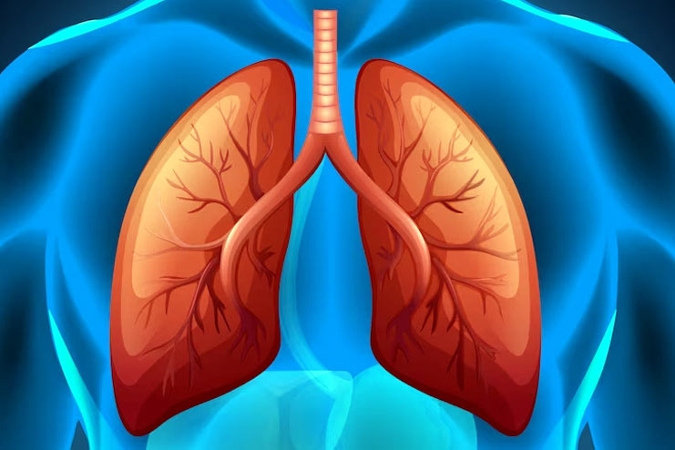 Respiratory System Imbalance