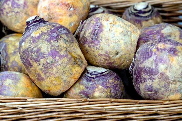 Rutabaga