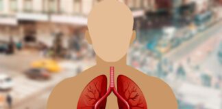ఊపిరితిత్తులను ఆరోగ్యంగా ఉంచుకోవడం ఎలా.? - The Lung Chronicles: Strategies for Lifelong Lung Wellness Strategies for Lifelong Lung Wellness
