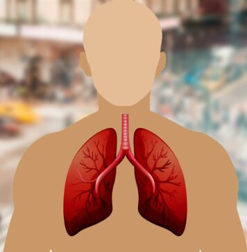 ఊపిరితిత్తులను ఆరోగ్యంగా ఉంచుకోవడం ఎలా.? Strategies for Lifelong Lung Wellness