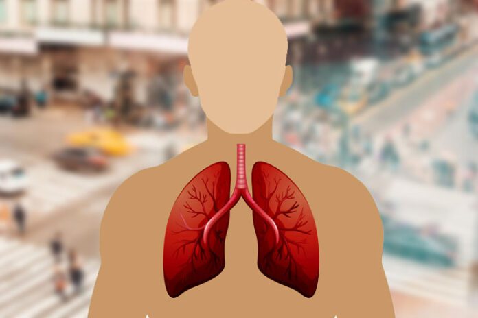 Strategies for Lifelong Lung Wellness