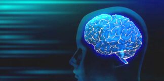 సెరోటోనిన్ అంటే ఏమిటి.? దీని అరోగ్య ప్రయోజనం ఏమి.? - What is Serotonin? what is it's function? What is Serotonin