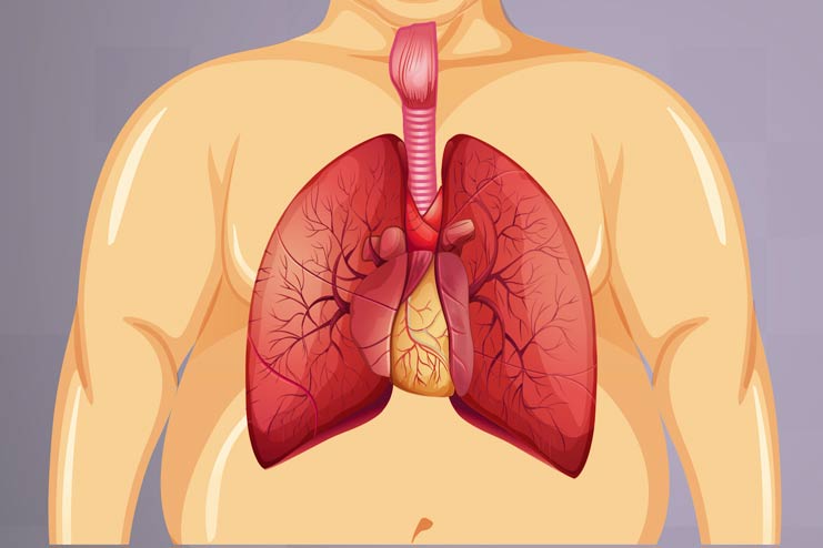 Is it possible to cleanse your lungs