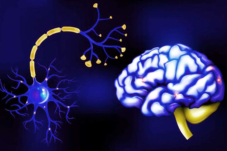 Drugs that affect brain serotonin