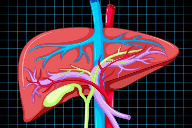 Drugs that affect liver function