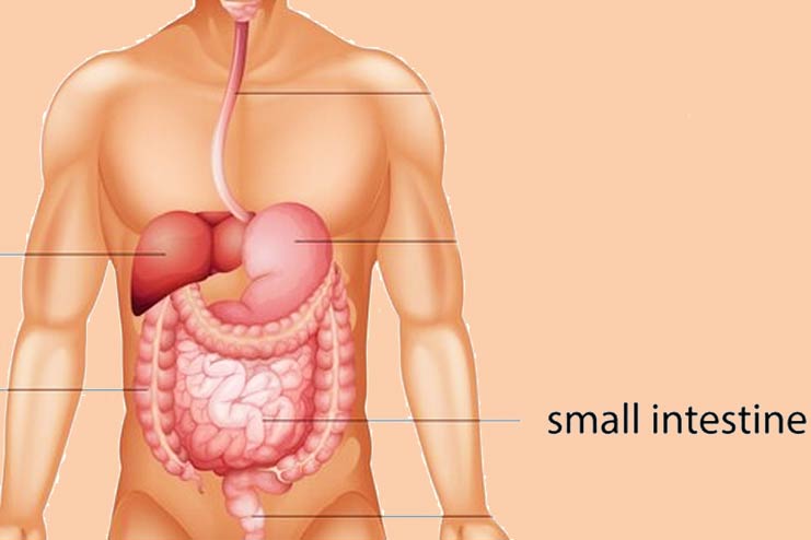 Signs and symptoms of SIBO