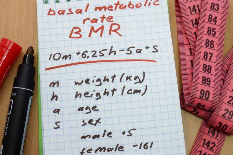 BMR and daily calories