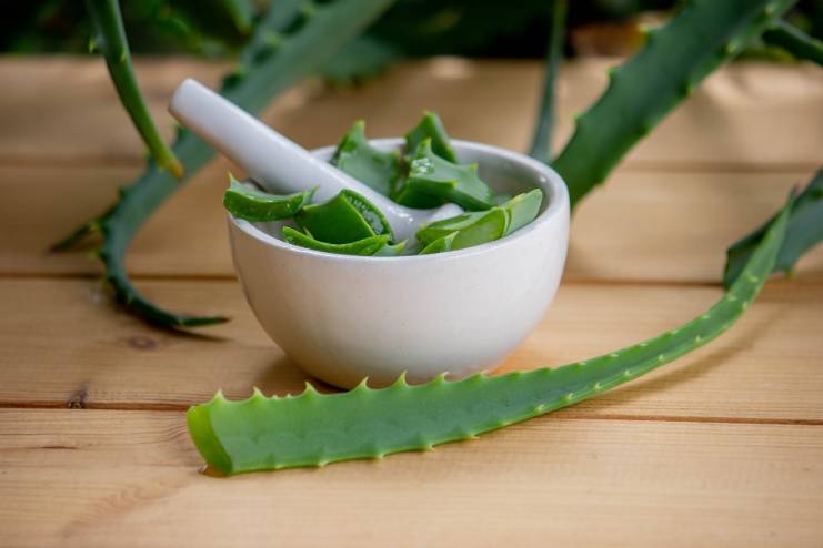 Aloe vera