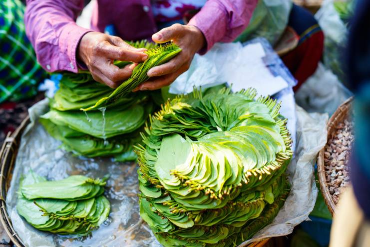 Betel leaves