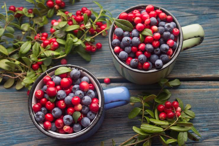 Blueberries and cranberries