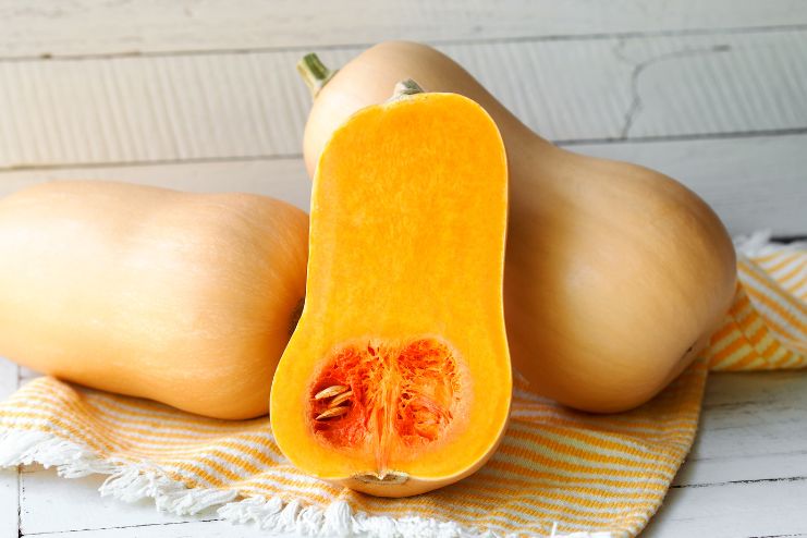 Butternut squash