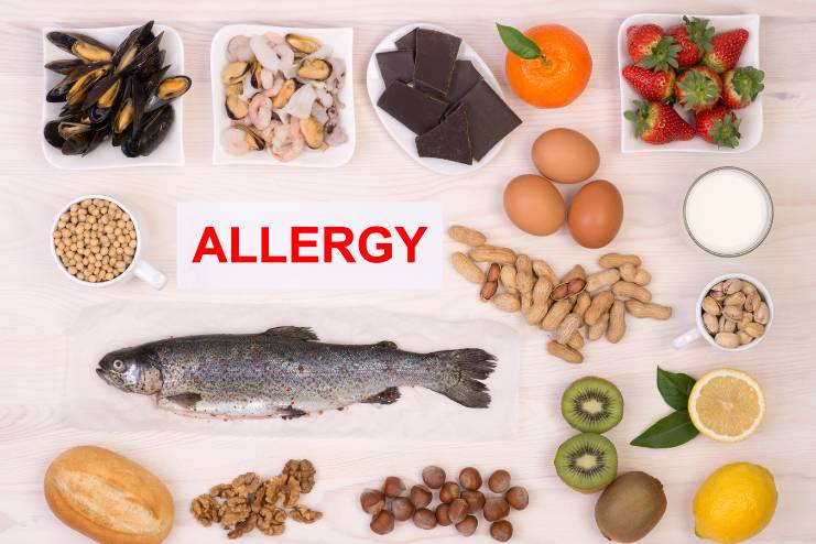 Common food allergies