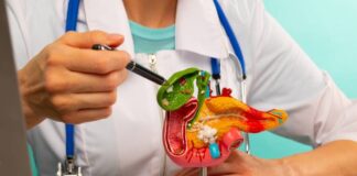 పిత్తాశయాన్ని అరోగ్యంగా ఉంచే ఆహారం ఇదే.! - Friendly foods to make your Gallbladder Healthier Friendly foods to make your Gallbladder Healthier