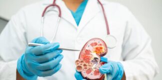 కిడ్నీల భవిష్యత్ చెప్పే గ్లోమెరులర్ ఫిలట్రేషన్ రేట్ టెస్ట్ గురించి తెలుసా.? - What is link between GFR test and Diabetic Kidney Disease? GFR test and Diabetic Kidney Disease