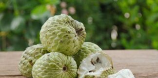 సీతాఫలంలోని పోషకాలు, ఔషధ గుణాలు తెలుసా.? - Nutritional values and Health Benefits of Custard Apple Health Benefits of Custard Apple