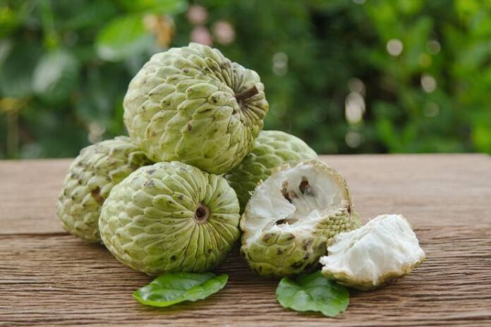 Health Benefits of Custard Apple