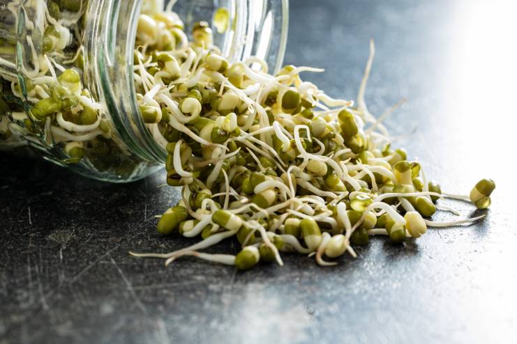 Health Benefits of Mung Bean